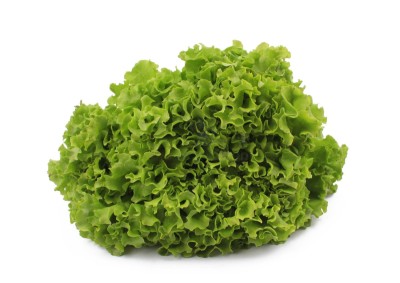 Салат айсберг 300 г - купить в Асаликенте